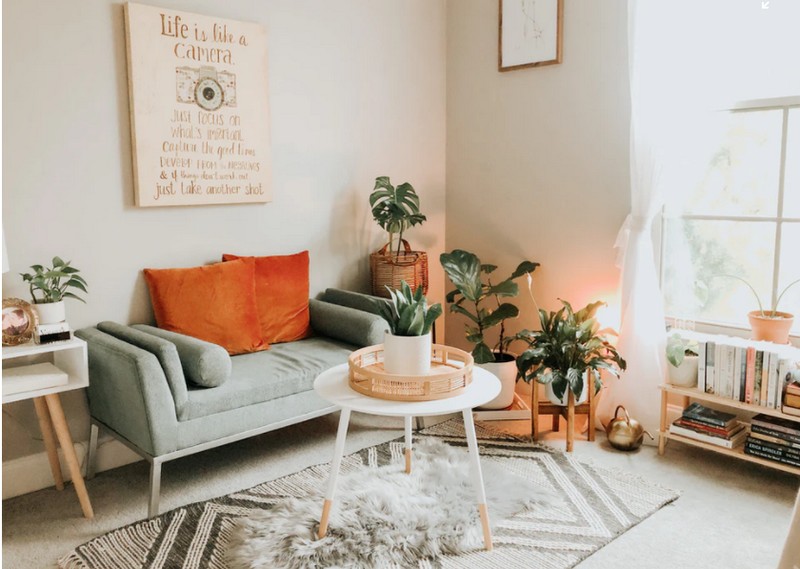 Area rugs for home online